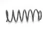 <strong>Пружина передня VW Passat B3 88-92 Goodrem RP0070 (фото 1)</strong>