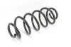 <strong>Пружина передньої підвіски Audi A6 97-05 Goodrem RP0131 (фото 2)</strong>