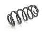 <strong>Пружина передня Audi A4 1.8T-2.0TDI 01-08 Goodrem RP0133 (фото 2)</strong>