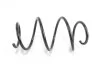 <strong>Пружина перед. BMW 2(F22, F23, F87)/ 3 (F30, F31, F34, F80) Goodrem RP0148 (фото 1)</strong>