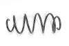 <strong>Пружина передняя Ford Mondeo III 00-07 (diesel) Goodrem RP0203 (фото 1)</strong>