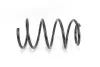 <strong>Пружина перед. Hyunday Accent/Kia Rio 05- 1.4/1.6 Goodrem RP0220 (фото 1)</strong>