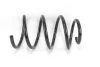 <strong>Пружина передняя Master/Movano 2.3dCi 10- Goodrem RP0244 (фото 1)</strong>