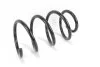 <strong>Пружина передняя Master/Movano 2.3dCi 10- Goodrem RP0244 (фото 2)</strong>