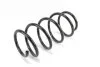 <strong>Пружина передня Kangoo 08- Goodrem RP0255 (фото 2)</strong>