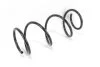<strong>Пружина передня Clio/Modus 04- Goodrem RP0261 (фото 2)</strong>