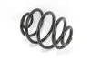 <strong>Пружина задня Opel Vectra A 88-95 Goodrem RP1048 (фото 2)</strong>