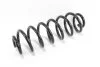 <strong>Пружина задня Passat 05-/Superb 08- Goodrem RP1054 (фото 2)</strong>