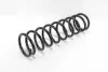 <strong>Пружина задня Lada 2110/2112 1.5 95-10/Priora 08-18 Goodrem RP1128 (фото 2)</strong>