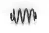 <strong>Пружина задня BMW 3 (E46) 90-07 D15/143 L243 L/R Goodrem RP1175 (фото 1)</strong>