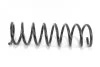 <strong>Пружина задня Ford Focus D11,5/109 L385 L/R Goodrem RP1190 (фото 1)</strong>