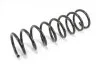 <strong>Пружина задня Ford Focus D11,5/109 L385 L/R Goodrem RP1190 (фото 2)</strong>