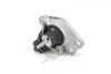 <strong>Подушка двигуна Пр. Kangoo 1.5/1.9dCi Goodrem RR5066 (фото 2)</strong>