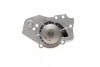 <strong>Насос водяний Peugeot 205/305/309/405/Expert/Citro GRAF PA256 (фото 4)</strong>