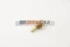 <strong>Датчик температури антифризу - 12V HELLA 6PT009107-561 (фото 2)</strong>