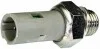 <strong>RENAULT Датчик давления масла Kangoo,Laguna,Trafic II,Opel,Nissan HELLA 6ZL 003 259-741 (фото 1)</strong>