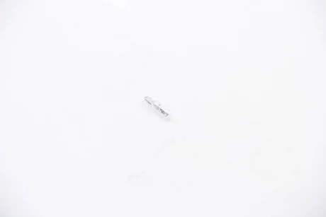 Лампа розжарювання W1,2W 12V 1,2W W2x4,6d Fendt 8GP002095121 для Volvo, ISUZU, Alpina HELLA 8GP002095-121 фото товару