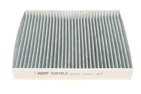 Фільтр салону Skoda Fabia II/III/Rapid/VW Polo 99- (вугільний) для HENGST FILTER E3919LC фото товару