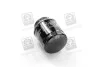 <strong>Фільтр масляний Caddy 1.2TSI 10-/ VW/Skoda/Seat 1.4TSI HENGST FILTER H312W01 (фото 2)</strong>