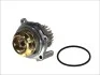 <strong>Водяний насос HEPU P545 (фото 1)</strong>