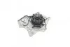 <strong>Водяний насос HEPU P657 (фото 6)</strong>