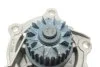 <strong>Водяний насос HEPU P676 (фото 5)</strong>