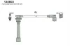 <strong>HUCO HYUNDAI К-кт проводів запалювання Accent X3 1.5 94- HITACHI 134603 (фото 1)</strong>