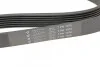 <strong>Ремінь генератора 7PK1076 Ducato 2.3JTD HUTCHINSON 1076K7 (фото 4)</strong>