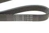<strong>Ремінь генератора 7PK1103 Master/Movano 2.5dCi 00- (-AC) HUTCHINSON 1099K7 (фото 5)</strong>