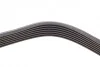 <strong>Ремінь генератора 7PK1103 Master/Movano 2.5dCi 00- (-AC) HUTCHINSON 1100K7 (фото 2)</strong>