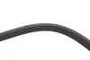 <strong>Ремінь генератора 5PK1113 Kangoo 1.4i 98> /1.6i 02> (-AC) HUTCHINSON 1110K5 (фото 4)</strong>