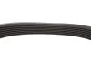 <strong>Ремінь генератора 7PK1113 Master/Movano 2.5 CDTI/dCi 06> HUTCHINSON 1110K7 (фото 4)</strong>
