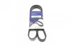 <strong>Ремінь генератора 6PK1113 Scudo/Expert/Berlingo 1.9D/TD 96> (PS,-AC) HUTCHINSON 1115K6 (фото 1)</strong>