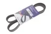 <strong>Ремінь генератора 6PK1125 Kangoo/Master 1.9dCi/dTi/ CADDY 1.4 96-04 HUTCHINSON 1125K6 (фото 2)</strong>