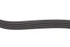 <strong>Ремінь генератора 7PK1125 Megane II 03>08 1.9dCi HUTCHINSON 1127K7 (фото 3)</strong>