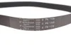 <strong>Ремінь генератора 6PK1130 Jumper 1.9TD 94>02 ALT, PS HUTCHINSON 1130K6 (фото 3)</strong>