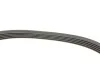 <strong>Ремінь генератора 5PK1133 Kangoo 1.5dCi >09/05 (-AC) HUTCHINSON 1135K5 (фото 3)</strong>