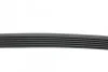 <strong>Ремінь генератора BMW F20/F30/F32 B38/B48 14- HUTCHINSON 1165K6 (фото 2)</strong>