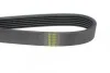 <strong>Ремінь генератора BMW F20/F30/F32 B38/B48 14- HUTCHINSON 1165K6 (фото 3)</strong>