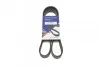 <strong>Ремінь поліклінової Mazda 6 2.0DI (02-) Hutchinson HUTCHINSON 1173K8 (фото 1)</strong>
