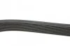 <strong>Ремінь поліклінової Mazda 6 2.0DI (02-) Hutchinson HUTCHINSON 1173K8 (фото 2)</strong>