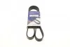 <strong>Ремінь генератора 6PK1210 Kangoo 1.9dCi/dTi 00> (+AC) HUTCHINSON 1205K6 (фото 1)</strong>