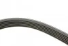 <strong>Ремінь генератора 6PK1210 Kangoo 1.9dCi/dTi 00> (+AC) HUTCHINSON 1205K6 (фото 2)</strong>