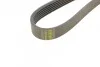 <strong>Ремінь генератора 6PK1210 Kangoo 1.9dCi/dTi 00> (+AC) HUTCHINSON 1205K6 (фото 3)</strong>
