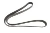 <strong>Ремінь генератора 6PK1210 Kangoo 1.9dCi/dTi 00> (+AC) HUTCHINSON 1212K6 (фото 1)</strong>