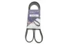 <strong>Ремінь генератора 6PK1210 Kangoo 1.9dCi/dTi 00> (+AC) HUTCHINSON 1212K6 (фото 2)</strong>
