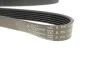 <strong>Ремінь генератора 6PK1210 Kangoo 1.9dCi/dTi 00> (+AC) HUTCHINSON 1212K6 (фото 4)</strong>