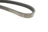 <strong>Ремінь генератора Renault Clio/Kangoo 1.4/1.6 98-03 HUTCHINSON 1237K4 (фото 4)</strong>