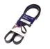 <strong>Ремінь генератора 6PK1250 Combo 1.7DI/DTI HUTCHINSON 1245K6 (фото 1)</strong>