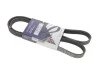 <strong>Ремінь генератора 5PK1300 Passat B5/Audi A4/A6 1.6/1.8 95> HUTCHINSON 1300K5 (фото 1)</strong>